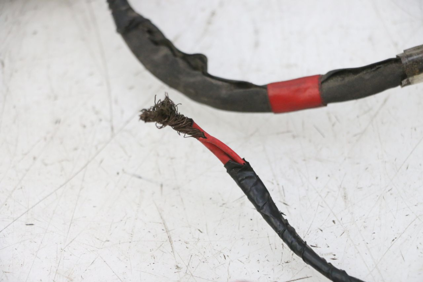 photo de INSTALACJA ELEKTRYCZNA PIAGGIO NEW TYPHOON 50 (2010 - 2017) - Część sprawdzona