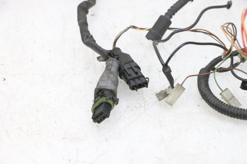 photo de INSTALACJA ELEKTRYCZNA PIAGGIO NEW TYPHOON 50 (2018 - 2021) - Widok produktu