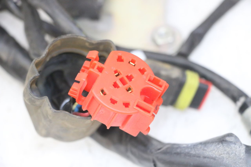 photo de INSTALACJA ELEKTRYCZNA GILERA NEXUS 125 (2009 - 2013) - Zbliżenie komponentów