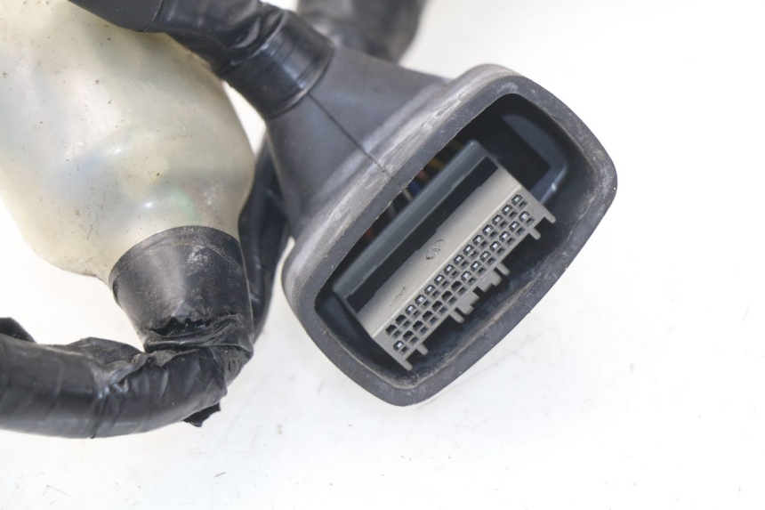 photo de INSTALACJA ELEKTRYCZNA HONDA NSS EX FORZA 250 (2005 - 2013) - Widok ogólny