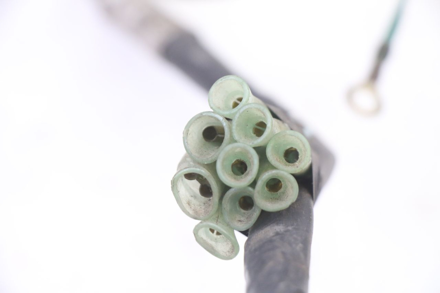 photo de INSTALACJA ELEKTRYCZNA HONDA NTV DEAUVILLE 650 (2001 - 2006) - Inny kąt widzenia