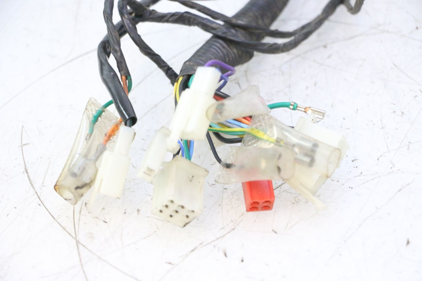 photo de INSTALACJA ELEKTRYCZNA JM MOTORS OLDIES 4T 50 (2010 - 2020) - Widok z bliska
