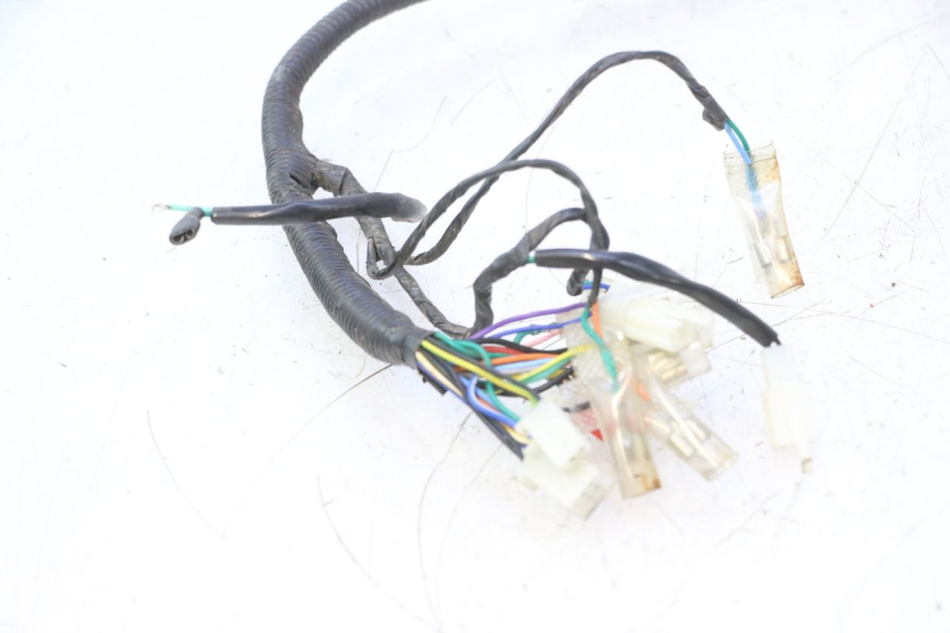 photo de INSTALACJA ELEKTRYCZNA JM MOTORS OLDIES 4T 50 (2010 - 2020) - Alternatywny kąt