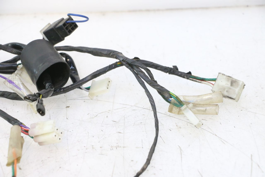 photo de INSTALACJA ELEKTRYCZNA JM MOTORS OLDIES 4T 50 (2010 - 2020) - Oznaczenia i referencje