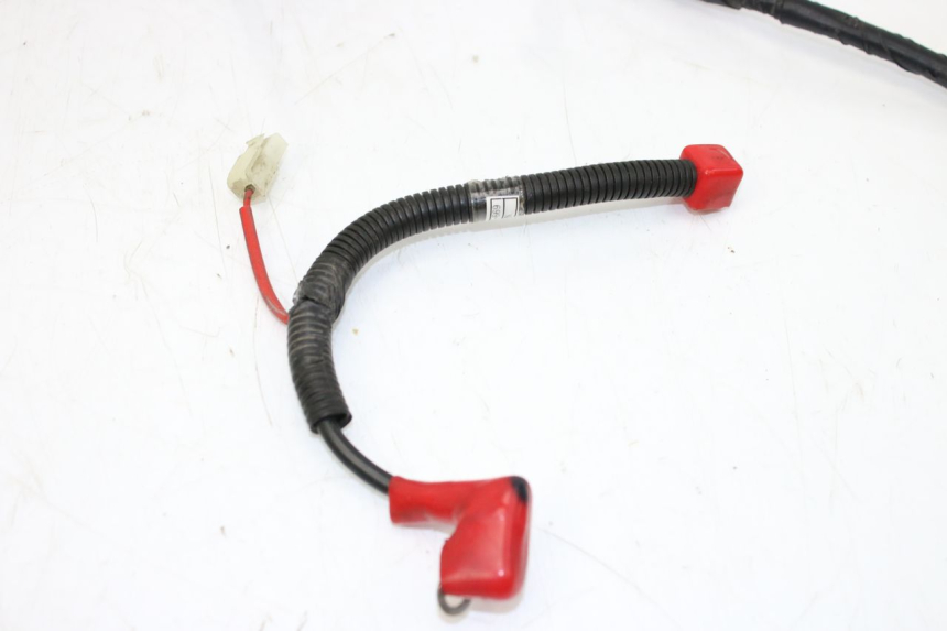 photo de INSTALACJA ELEKTRYCZNA SYM ORBIT III 3 4T 50 (2018 - 2021) - Szczegół części