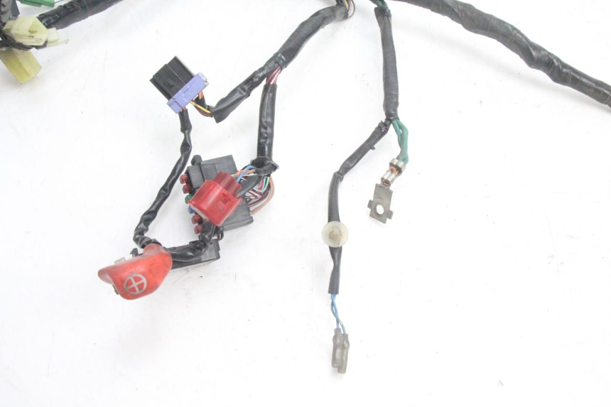 photo de INSTALACJA ELEKTRYCZNA HONDA PCX (JF28) 125 (2009 - 2011) - Zbliżenie techniczne