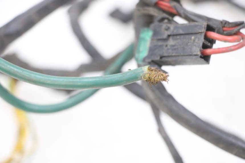 photo de INSTALACJA ELEKTRYCZNA PEUGEOT ELYSTAR 125 (2002 - 2007) - Zoom stanu zużycia