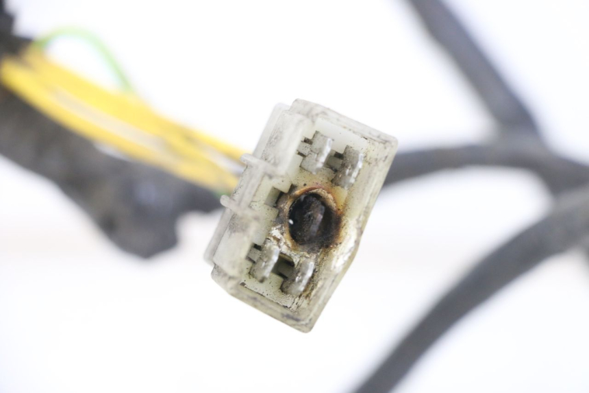 photo de INSTALACJA ELEKTRYCZNA PEUGEOT ELYSTAR 125 (2002 - 2007) - Widok ogólny