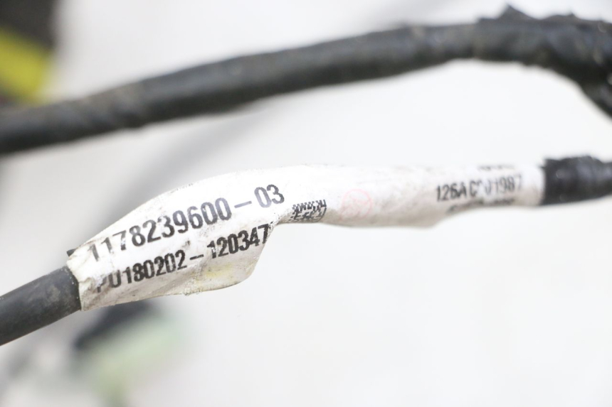 photo de WIĄZKA ELEKTRYCZNA PEUGEOT SATELIS 125 (2013 - 2018) - Zoom stanu zużycia