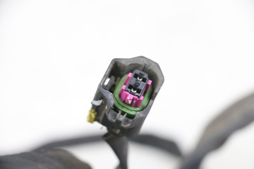 photo de WIĄZKA ELEKTRYCZNA PIAGGIO LIBERTY IGET 4T 50 (2021 - 2025) - Szczegół części