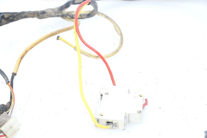 photo de INSTALACJA ELEKTRYCZNA DOLPHIN PYGMY 1 (2020 - 2024) - Widok ogólny