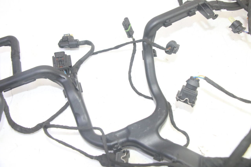 photo de INSTALACJA ELEKTRYCZNA BMW R GS 1250 (2021 - 2024) - Widok produktu
