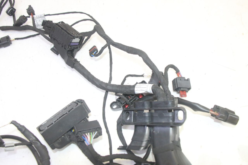 photo de INSTALACJA ELEKTRYCZNA BMW R GS 1250 (2021 - 2024) - Zoom stanu zużycia