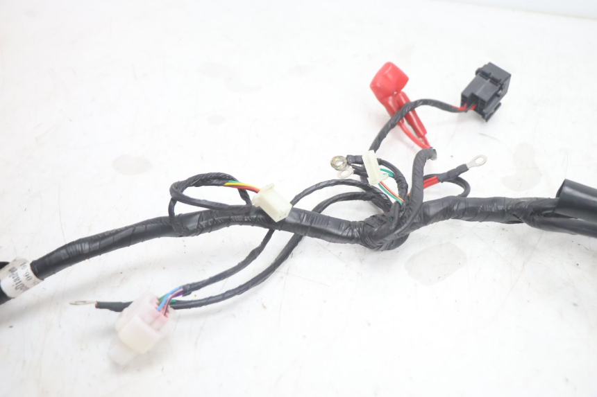 photo de WIĄZKA JM MOTORS R-MAX TECH 50 (2024 - 2026) - Inny kąt widzenia