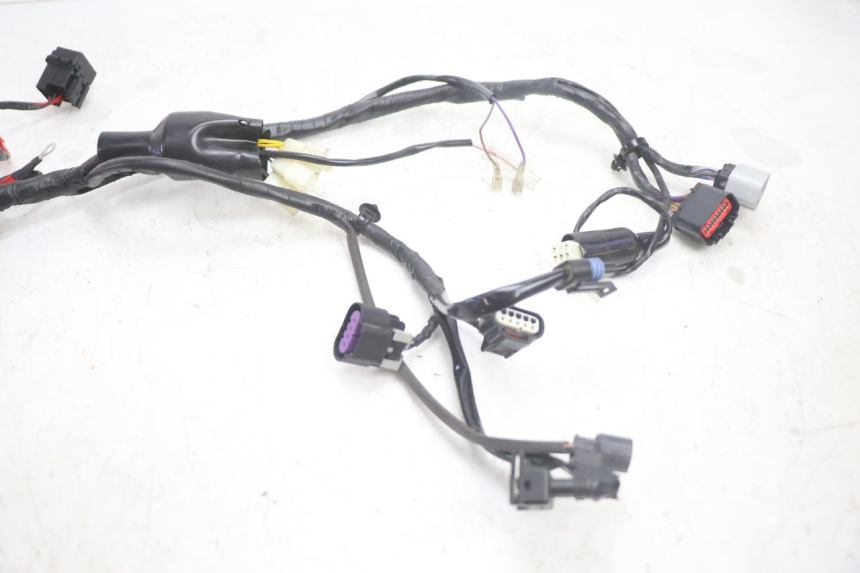 photo de WIĄZKA JM MOTORS R-MAX TECH 50 (2024 - 2026) - Zbliżenie techniczne