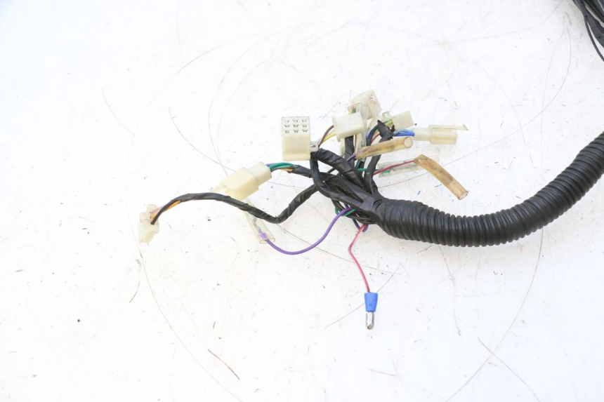 photo de INSTALACJA ELEKTRYCZNA RIDE RACE GT 2T 50 (2012 - 2017) - Szczegół części