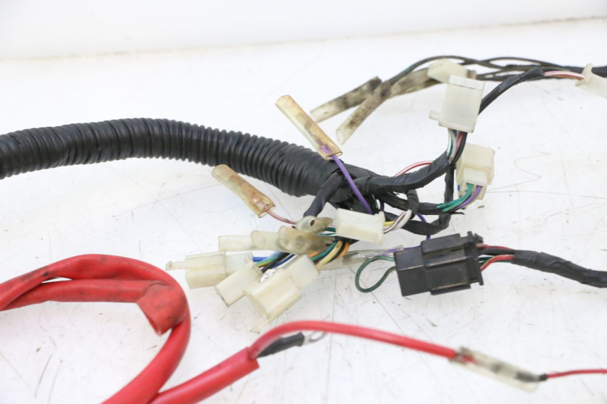 photo de INSTALACJA ELEKTRYCZNA RIDE RACE GT 2T 50 (2012 - 2017) - Zbliżenie techniczne
