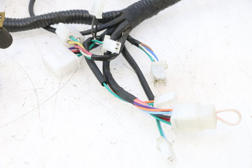 photo de INSTALACJA ELEKTRYCZNA LAZIO RENO 50 (2016 - 2021) - Widok produktu