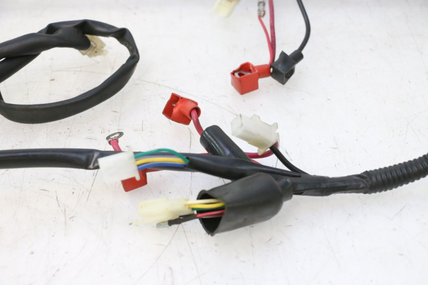 photo de INSTALACJA ELEKTRYCZNA TNT MOTOR ROMA 10' 2T 50 (2011 - 2018) - Szczegóły charakterystyczne