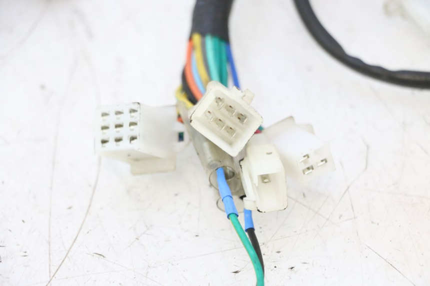 photo de INSTALACJA ELEKTRYCZNA TNT MOTOR ROMA 10' 2T 50 (2011 - 2018) - Zbliżenie techniczne
