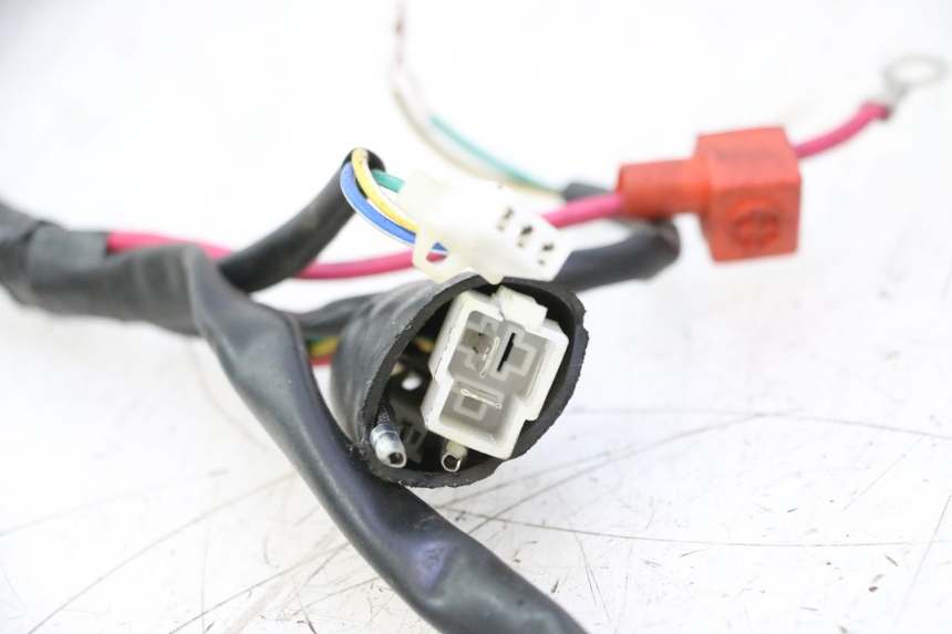 photo de INSTALACJA ELEKTRYCZNA TNT MOTOR ROMA 10' 4T 50 (2007 - 2018) - Szczegóły charakterystyczne