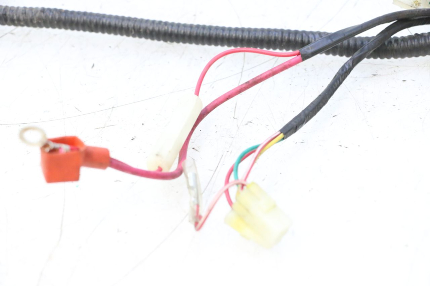 photo de INSTALACJA ELEKTRYCZNA TNT MOTOR ROMA 10' 4T 50 (2007 - 2018) - Widok ogólny