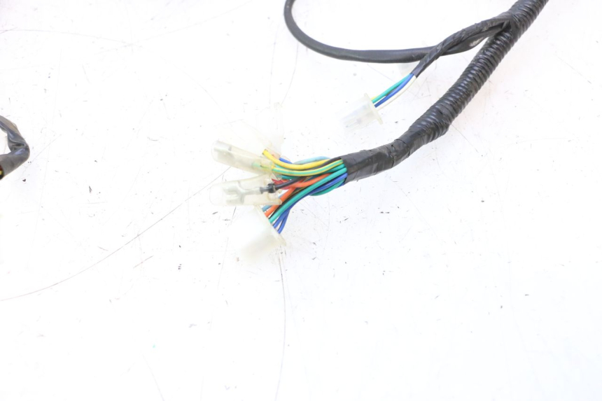 photo de INSTALACJA ELEKTRYCZNA TNT MOTOR ROMA 10' 4T 50 (2007 - 2018) - Oznaczenia i referencje