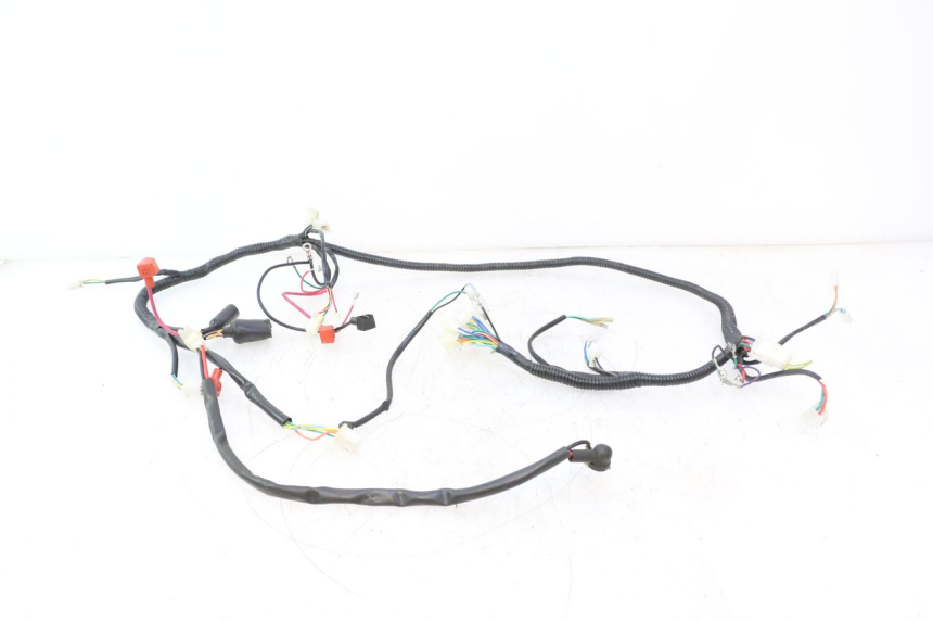 photo de INSTALACJA ELEKTRYCZNA TNT MOTOR ROMA 12' 2T 50 (2007 - 2018) - Widok główny