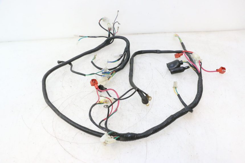 photo de INSTALACJA ELEKTRYCZNA TNT MOTOR ROMA 12' 2T 50 (2007 - 2018) - Szczegół części
