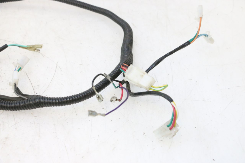 photo de INSTALACJA ELEKTRYCZNA TNT MOTOR ROMA 12' 2T 50 (2007 - 2018) - Widok produktu