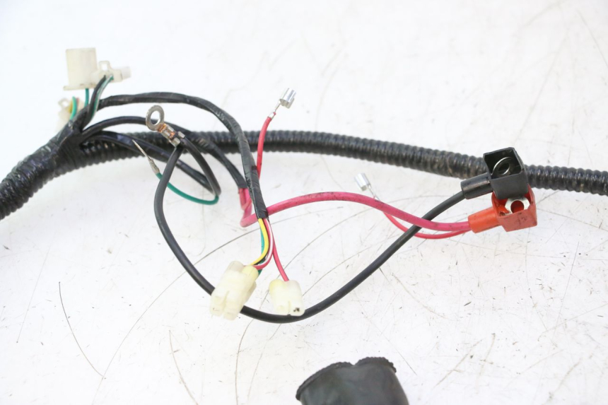 photo de INSTALACJA ELEKTRYCZNA TNT MOTOR ROMA 12' 2T 50 (2007 - 2018) - Inny kąt widzenia