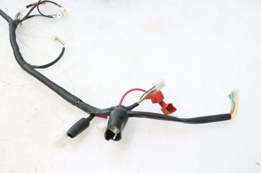 photo de INSTALACJA ELEKTRYCZNA TNT MOTOR ROMA 12' 2T 50 (2007 - 2018) - Szczegół części