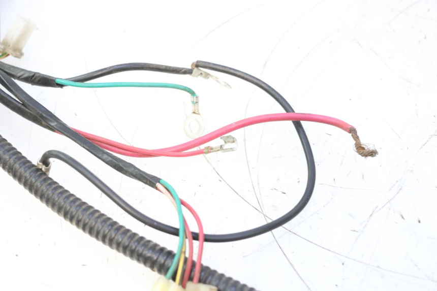 photo de INSTALACJA ELEKTRYCZNA TNT MOTOR ROMA 12' 2T 50 (2007 - 2018) - Szczegół części