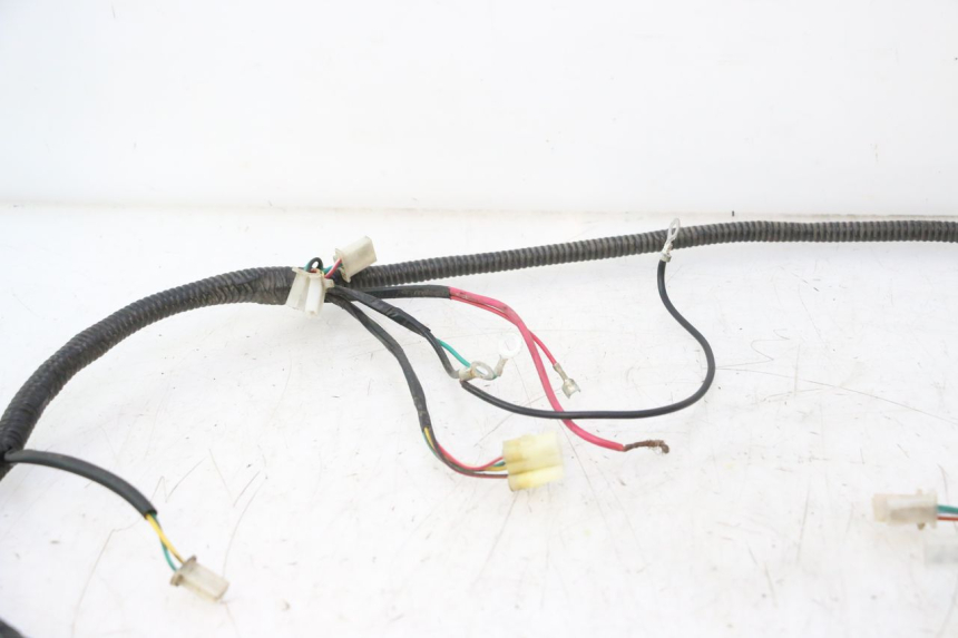 photo de INSTALACJA ELEKTRYCZNA TNT MOTOR ROMA 12' 2T 50 (2007 - 2018) - Szczegóły charakterystyczne