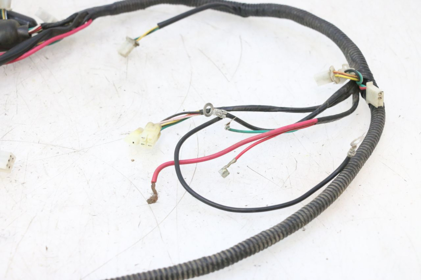 photo de INSTALACJA ELEKTRYCZNA TNT MOTOR ROMA 12' 2T 50 (2007 - 2018) - Oznaczenia i referencje