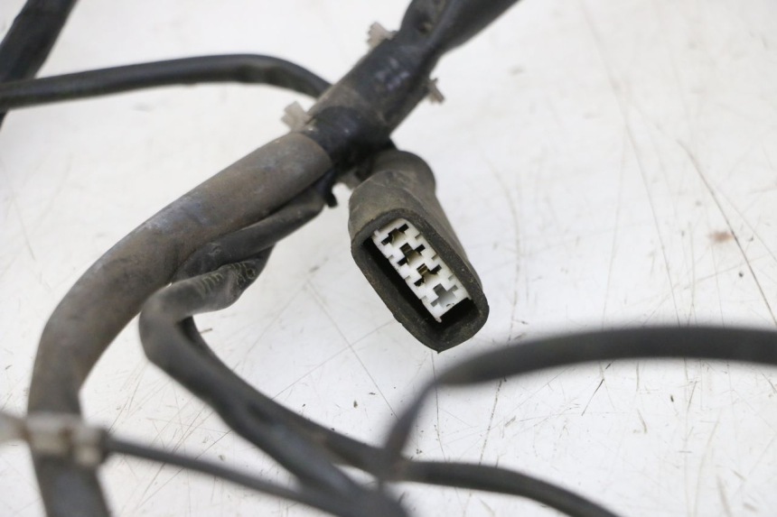 photo de WIĄZKA ELEKTRYCZNA GILERA RUNNER SP 50 (2009 - 2017) - Widok ogólny