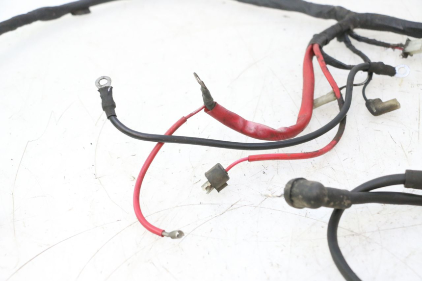 photo de WIĄZKA ELEKTRYCZNA KEEWAY RY6 2T 50 (2011 - 2019) - Zbliżenie techniczne