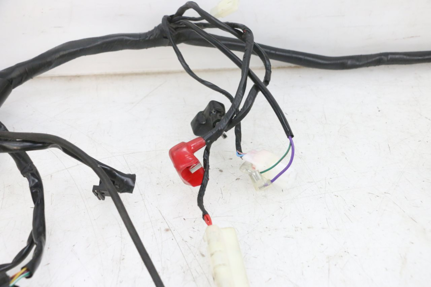 photo de WIĄZKA ELEKTRYCZNA JM MOTORS SANTANA EVO 50 (2024 - 2026) - Zbliżenie komponentów