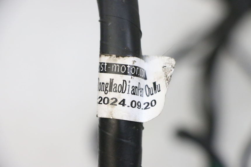 photo de WIĄZKA ELEKTRYCZNA JM MOTORS SANTANA EVO 50 (2024 - 2026) - Inny kąt widzenia