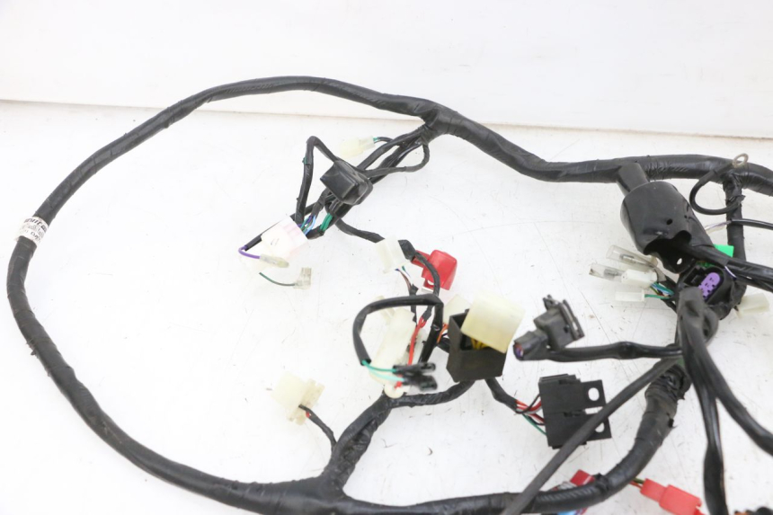 photo de WIĄZKA ELEKTRYCZNA JM MOTORS SANTANA EVO 50 (2024 - 2026) - Zbliżenie techniczne