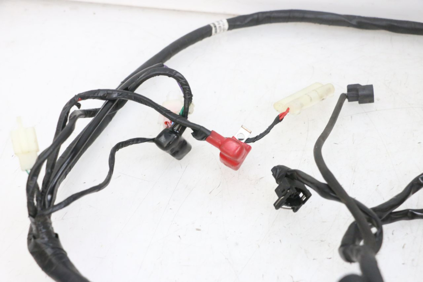 photo de WIĄZKA ELEKTRYCZNA JM MOTORS SANTANA EVO 50 (2024 - 2026) - Część sprawdzona