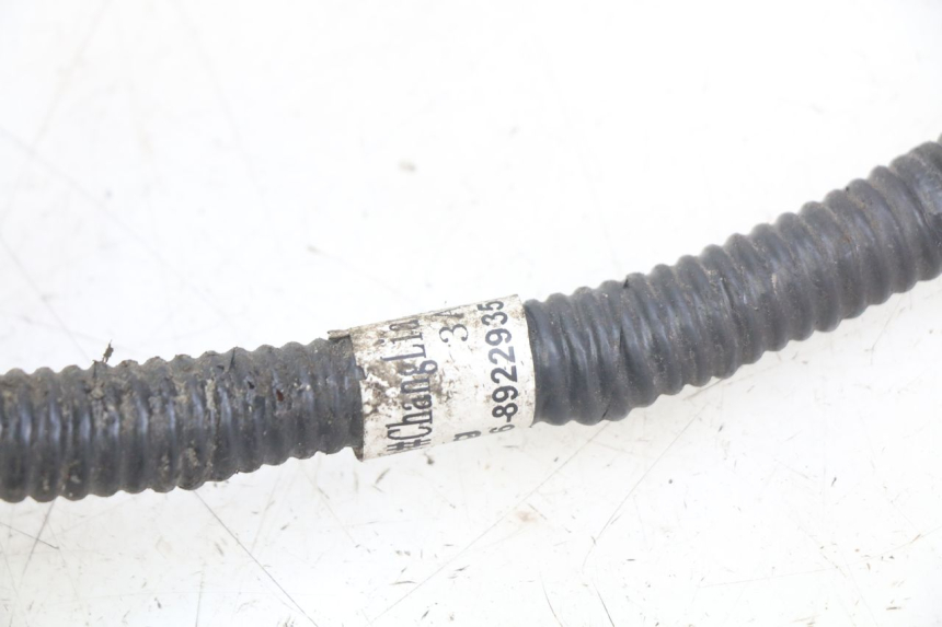 photo de WIĄZKA ELEKTRYCZNA JM MOTORS SANTANA 50 (2014 - 2023) - Szczegół części