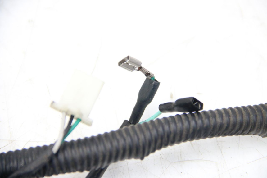 photo de WIĄZKA ELEKTRYCZNA JM MOTORS SANTANA 50 (2014 - 2023) - Szczegół części