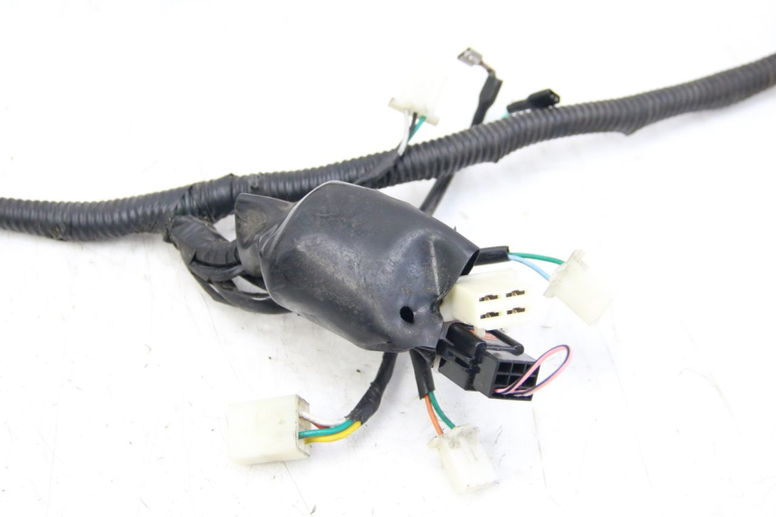 photo de WIĄZKA ELEKTRYCZNA JM MOTORS SANTANA 50 (2014 - 2023) - Punkty mocowania