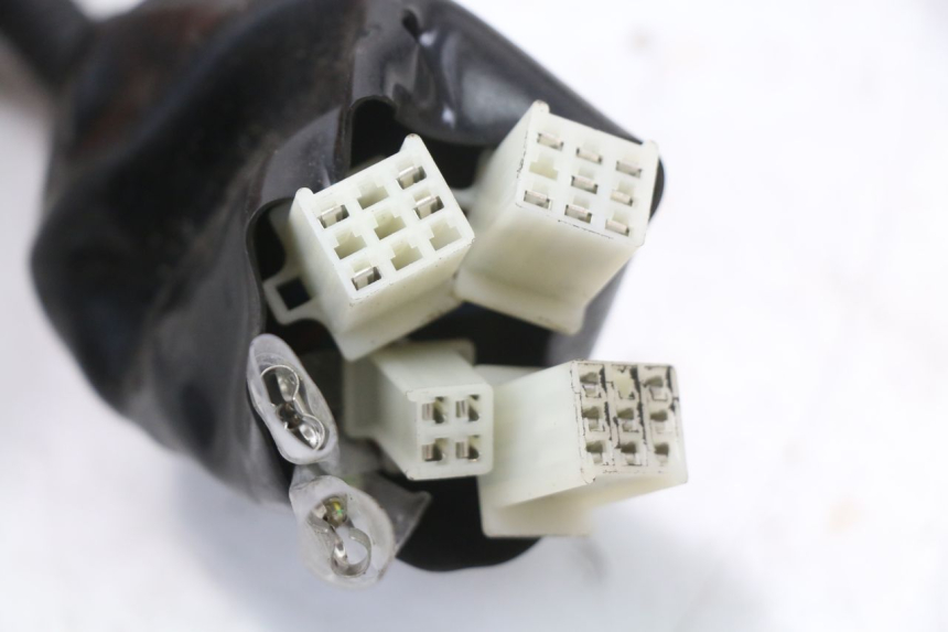 photo de WIĄZKA ELEKTRYCZNA JM MOTORS SANTANA 50 (2014 - 2023) - Szczegół części