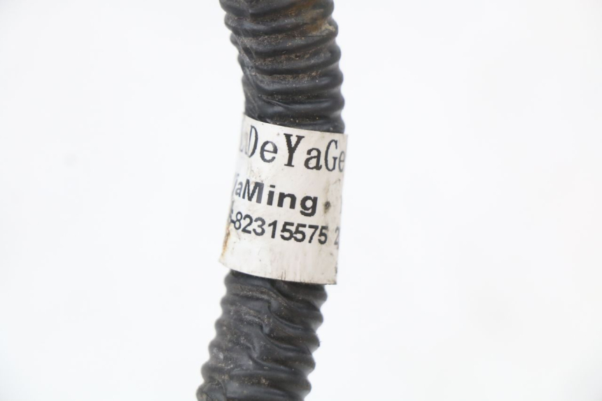 photo de WIĄZKA ELEKTRYCZNA JM MOTORS SANTANA 50 (2014 - 2023) - Zbliżenie techniczne