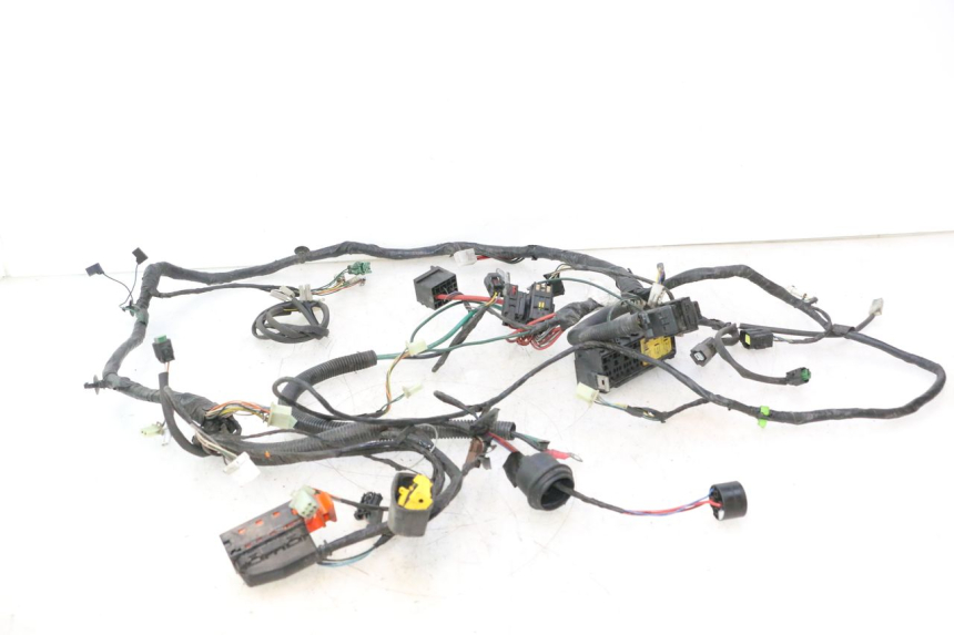 photo de INSTALACJA ELEKTRYCZNA PEUGEOT SATELIS 125 (2006 - 2009) - Widok główny
