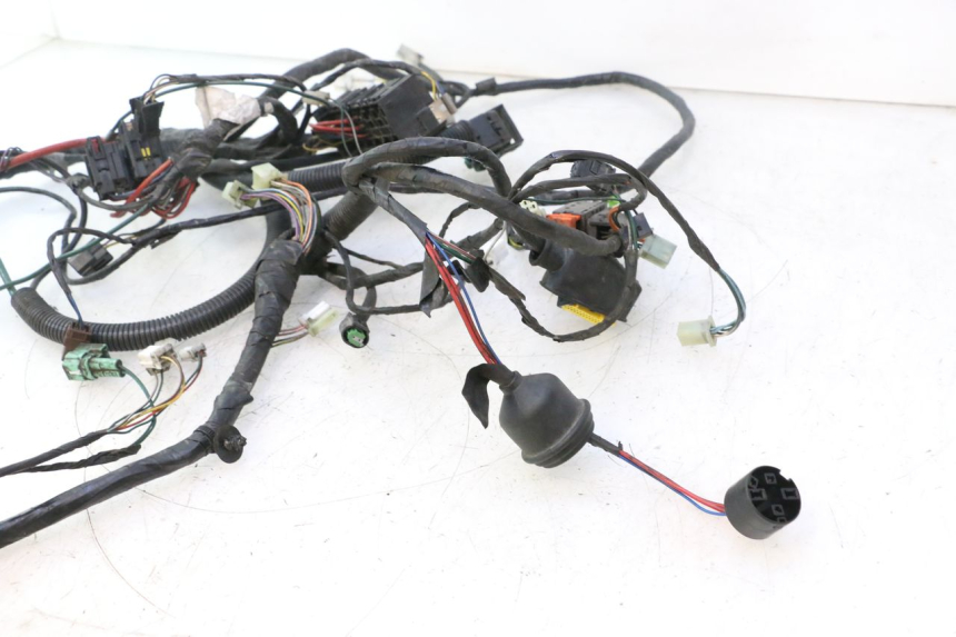 photo de INSTALACJA ELEKTRYCZNA PEUGEOT SATELIS 125 (2006 - 2009) - Widok z bliska