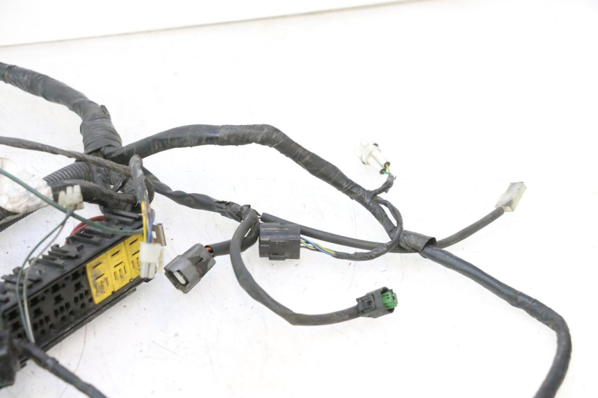 photo de INSTALACJA ELEKTRYCZNA PEUGEOT SATELIS 125 (2006 - 2009) - Widok ogólny