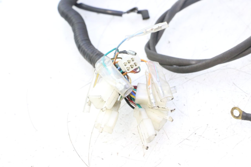 photo de WIĄZKA ELEKTRYCZNA MASH SEVENTY FIVE 125 (2013 - 2021) - Kontrola wizualna